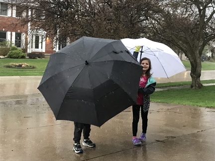 Playing in the Rain0